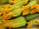 zucchini_flowers_small